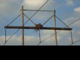 High Powered Osprey Nest 1.jpg